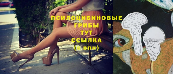 мдма Ладушкин