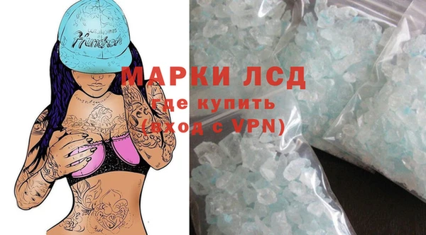 винт Лагань