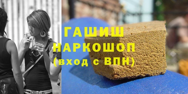 винт Лагань