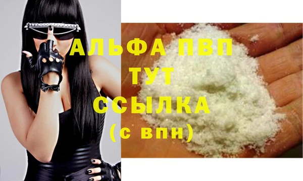 винт Лагань