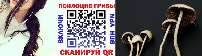 Псилоцибиновые грибы мицелий  дарнет шоп  Орехово-Зуево 