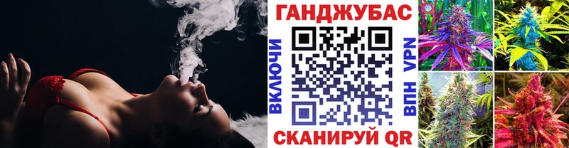 купить наркотик  Орехово-Зуево  Конопля гибрид 